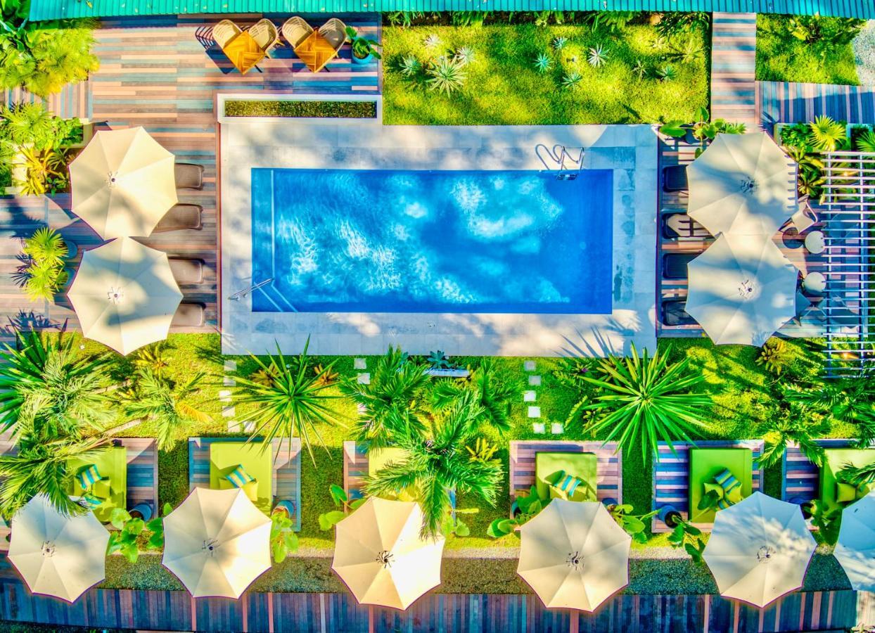 Exotico Beach Hotel Puerto Viejo de Talamanca ภายนอก รูปภาพ