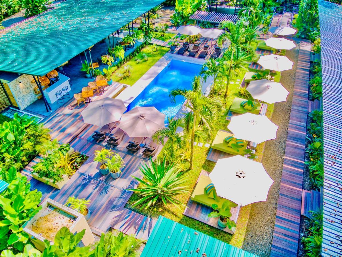Exotico Beach Hotel Puerto Viejo de Talamanca ภายนอก รูปภาพ